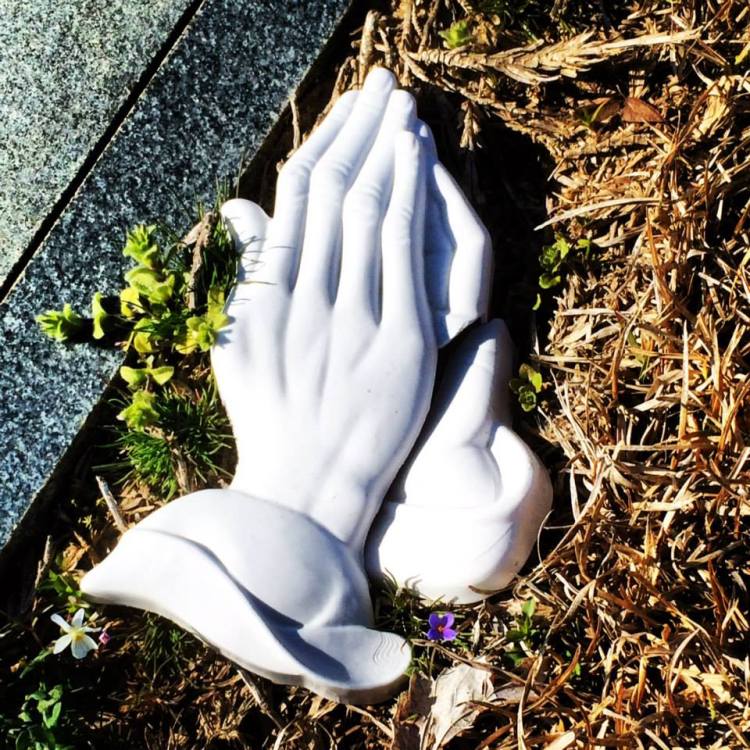 10151884_1487043398178522_439288925_n